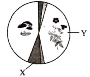 Question diagram