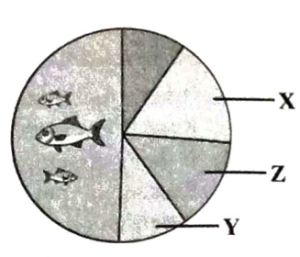 Question diagram
