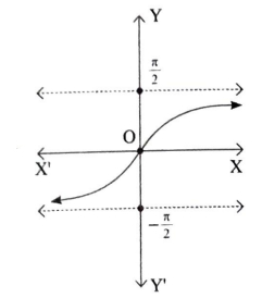 Option B