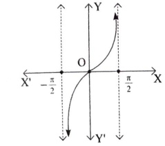 Option C