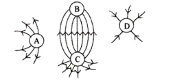 Question diagram