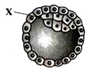 Question diagram