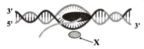 Question diagram