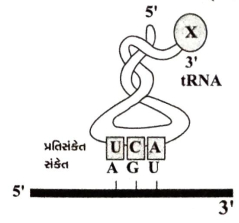 Question diagram
