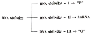 Question diagram