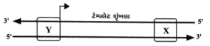 Question diagram