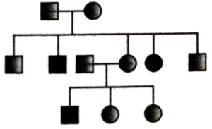 Question diagram