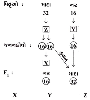 Question diagram