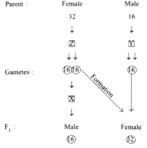 Question diagram