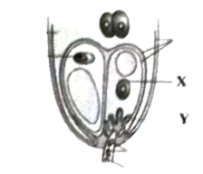 Question diagram