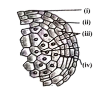 Question diagram