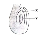 Question diagram