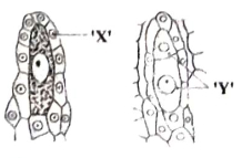 Question diagram