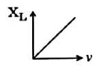 Option A