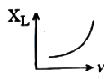 Option B