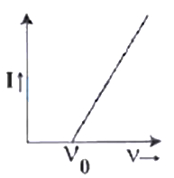 Option D