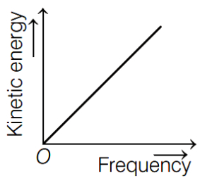 Option B