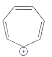 Option B