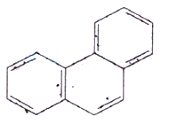 Option C