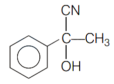 Option B