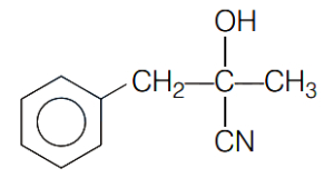 Option C