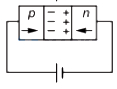 Option C