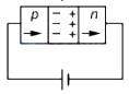 Option D