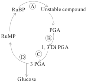 Question diagram