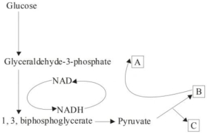 Question diagram