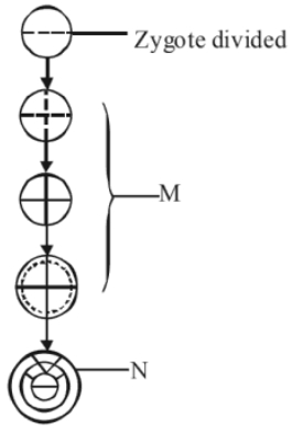 Question diagram