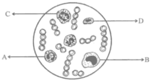 Question diagram
