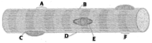Question diagram