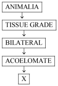 Question diagram