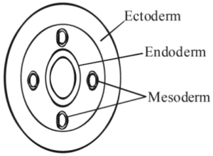 Question diagram