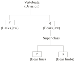 Question diagram