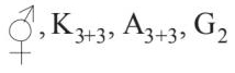 Option D