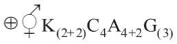 Option A