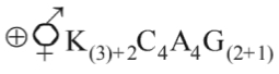 Option B
