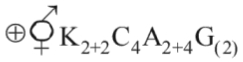 Option C