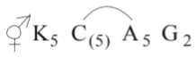 Question diagram