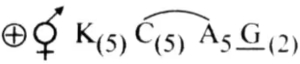 Solution diagram