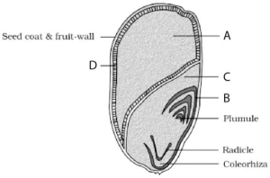 Question diagram