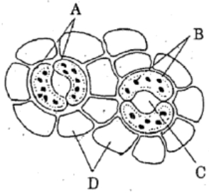 Question diagram