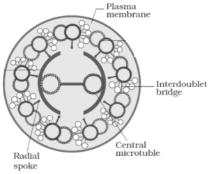 Question diagram