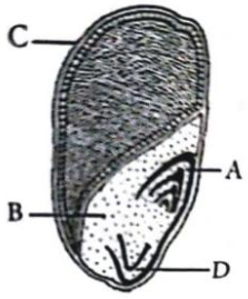 Question diagram
