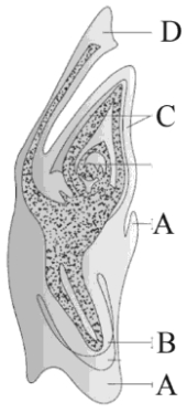 Question diagram