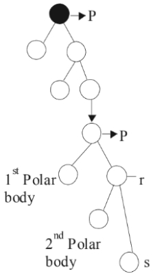 Question diagram
