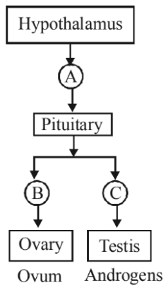 Question diagram