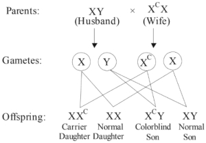 Solution diagram