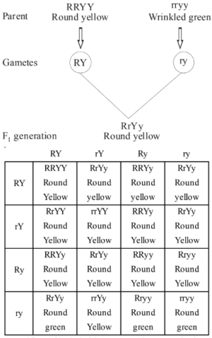 Solution diagram